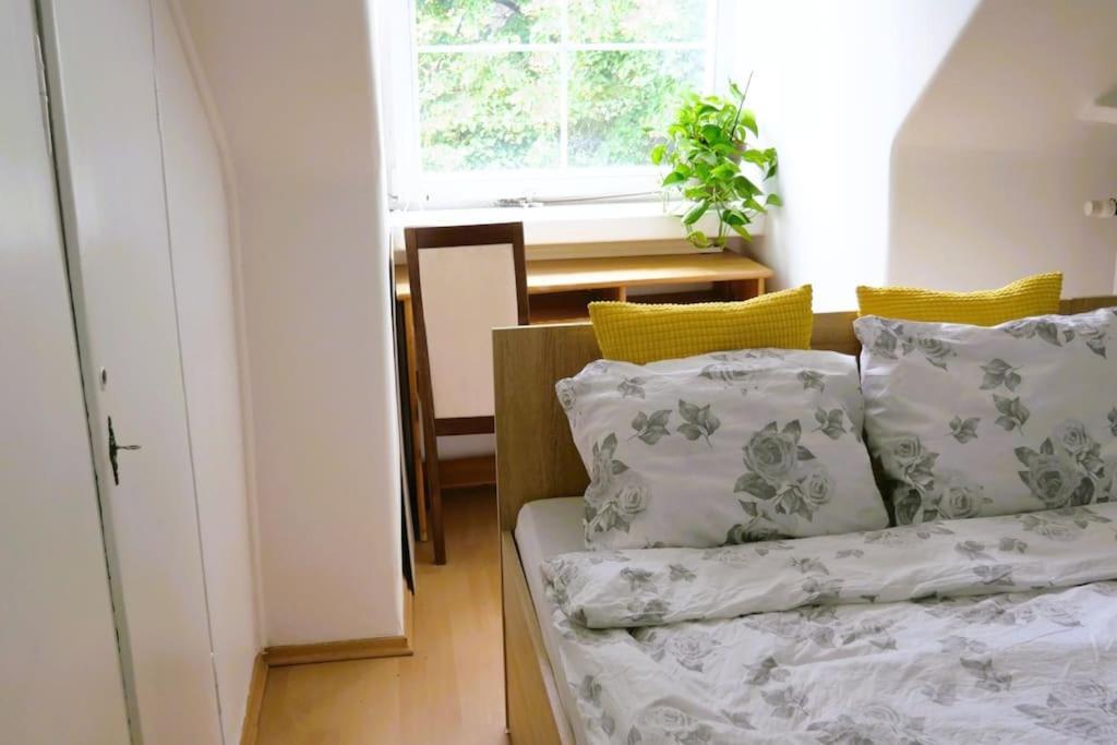 Apartament W Kamienicy Na Starym Miescie 华沙 外观 照片